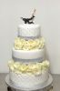 Filnamn : IMG_1198 (531x800).jpg
Filstorlek : 186KB
Bildstorlek : 531x800
Inlagd den : Feb 02, 2016 IMG_1198 (531x800).jpg